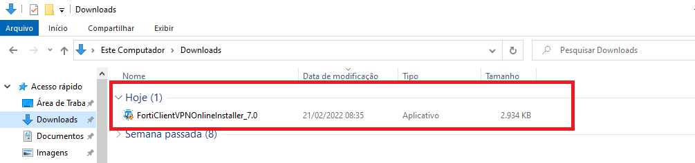 Instalador FortiClient